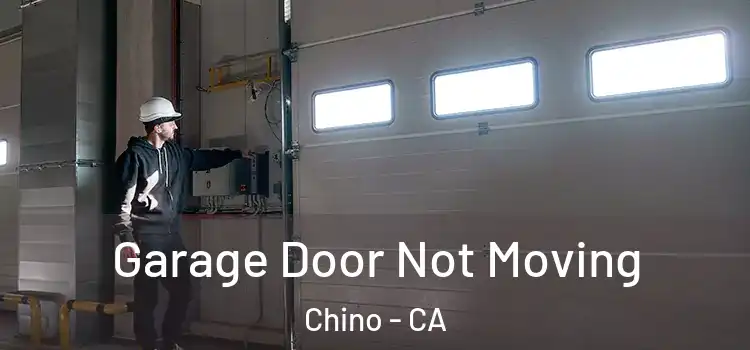  Garage Door Not Moving Chino - CA