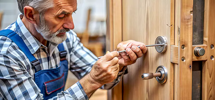 Mortise Replacement Lock Chino