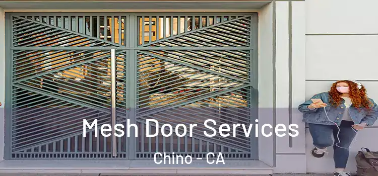 Mesh Door Services Chino - CA